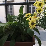 La Chiocciolina