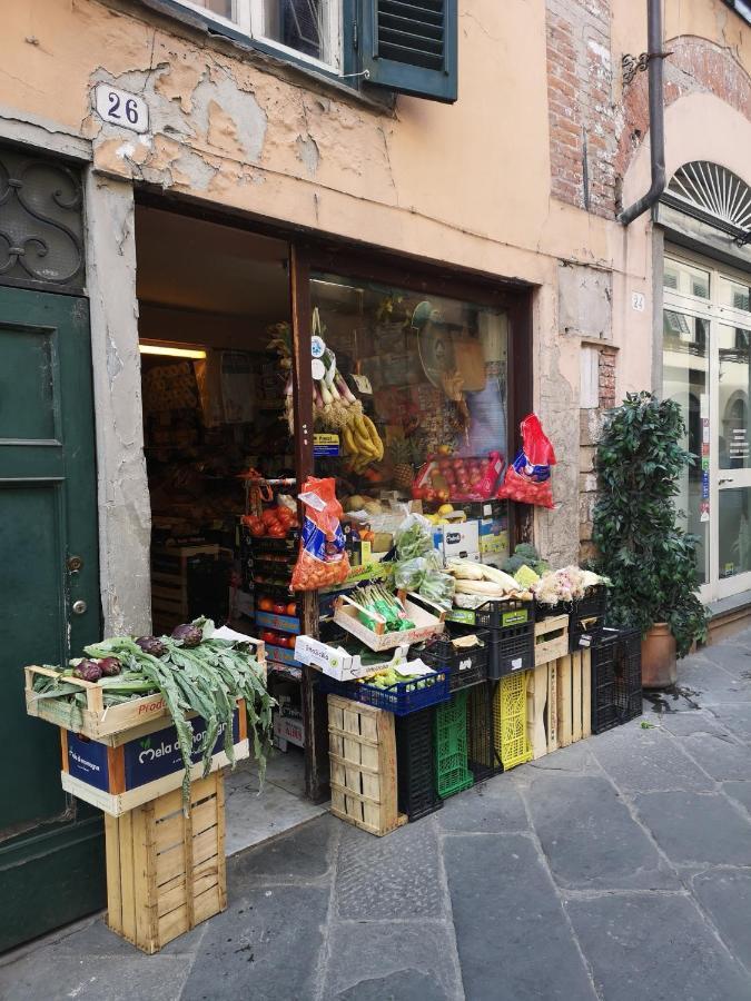 Apartamento La Chiocciolina Lucca